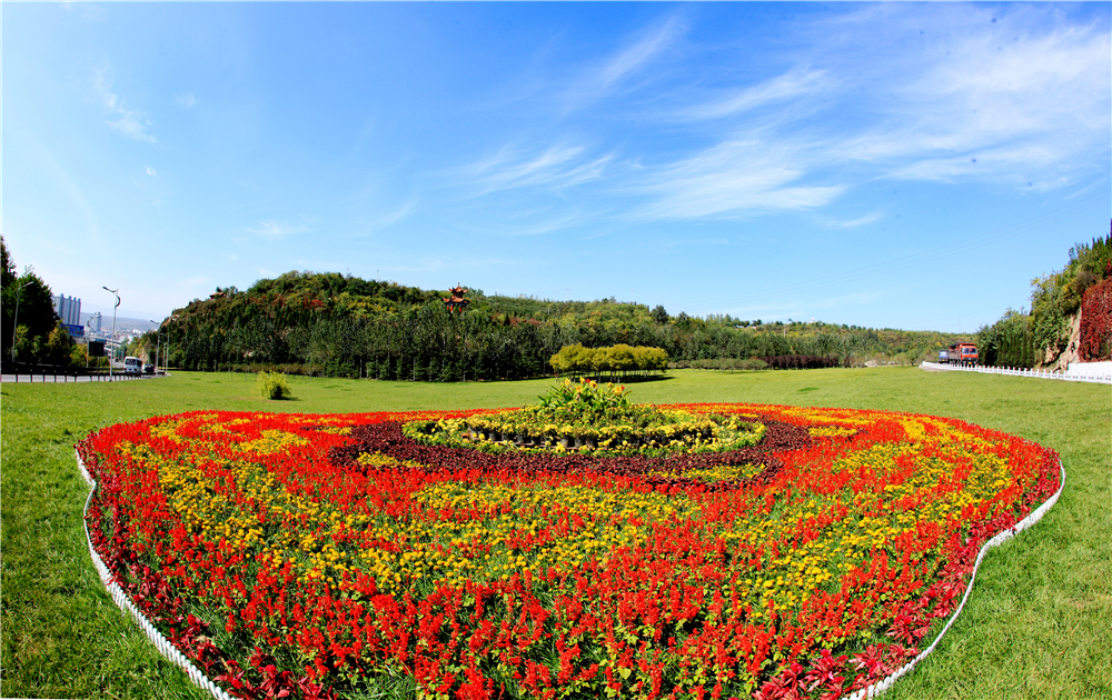 陽(yáng)高泉森林公園