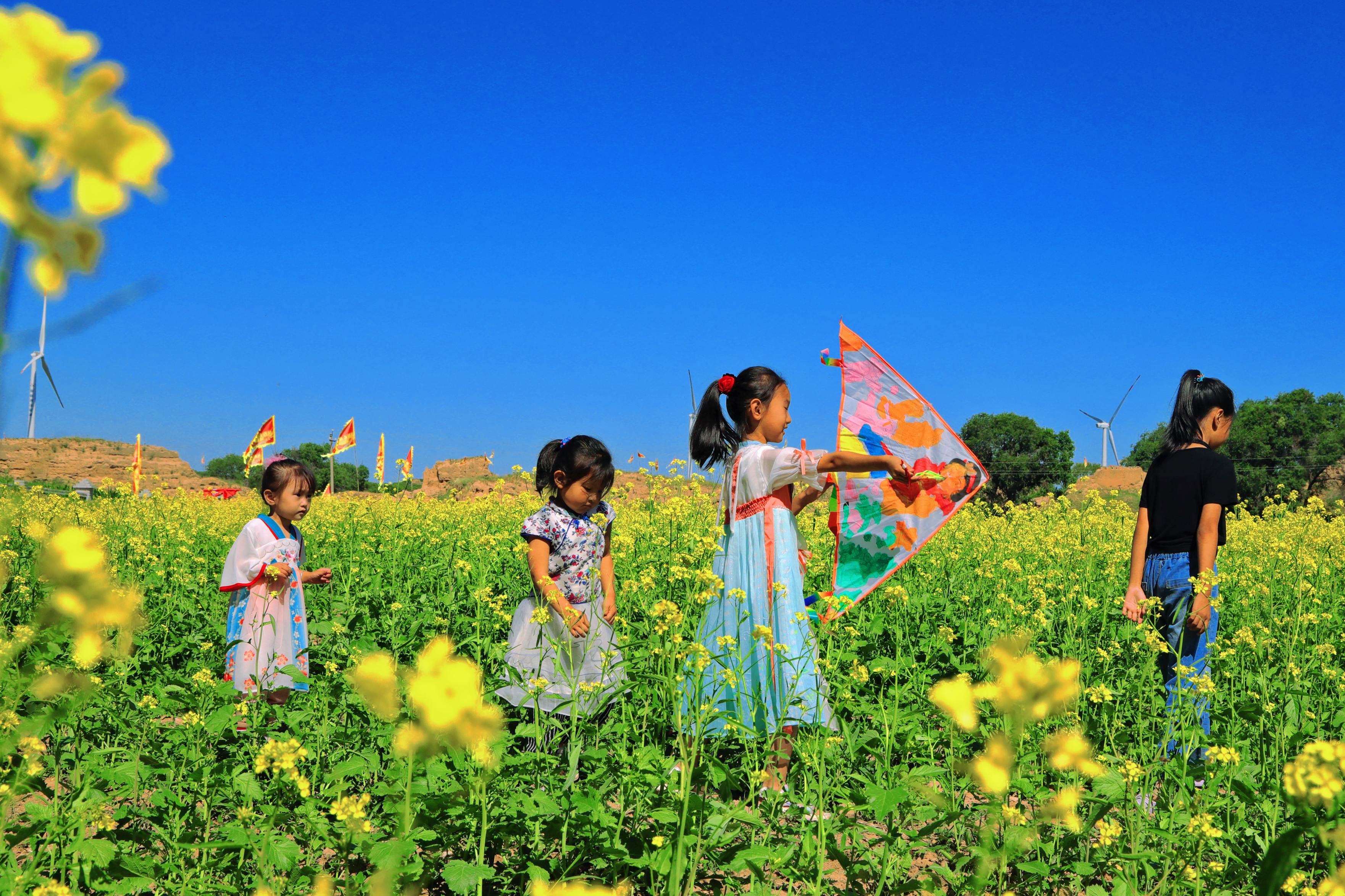  萬畝油菜花