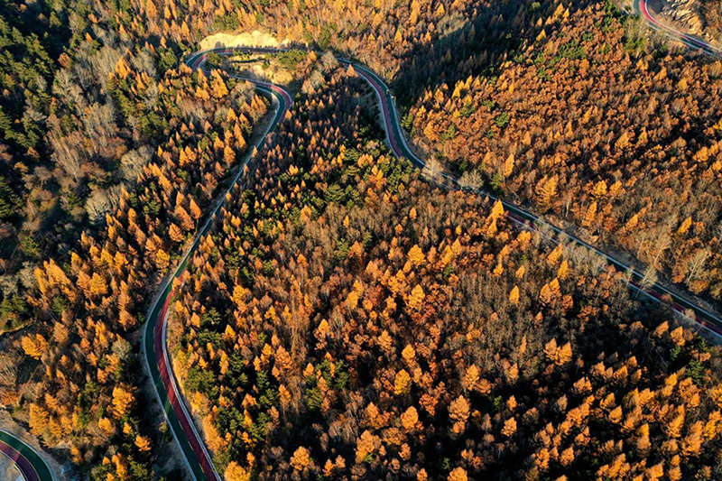 離石區(qū)彩色旅游公路